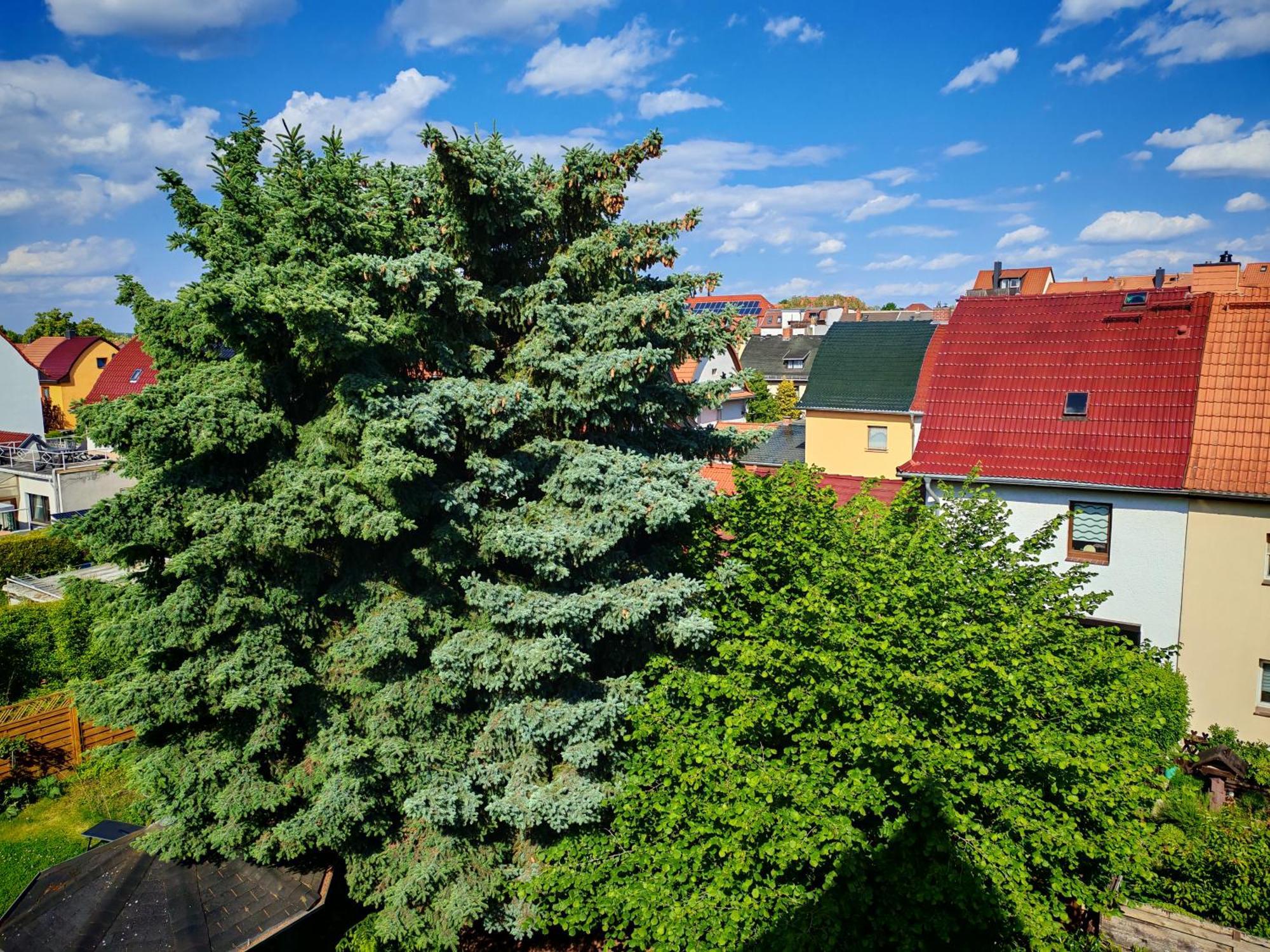Domstadt Apartments Merseburg Exterior photo